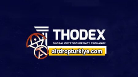 Thodex Borsası Paraları Alıp Kaçtı!