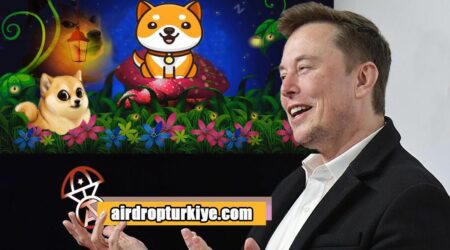 BABYDOGE, Elon Musk Sonrası Artışa Geçti