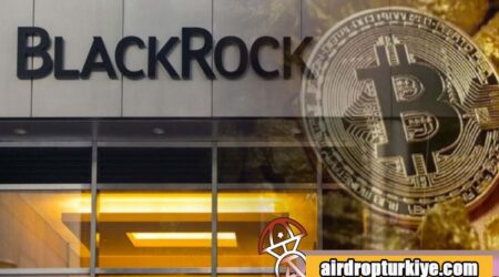 BlackRock kripto para hizmeti sunmaya hazırlanıyor